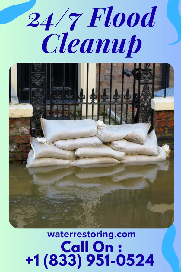 24/7 Flood Cleanup in Prien, LA