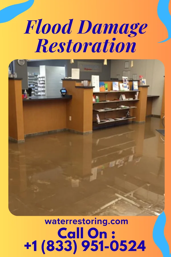 Flood Damage Restoration in Prien, LA