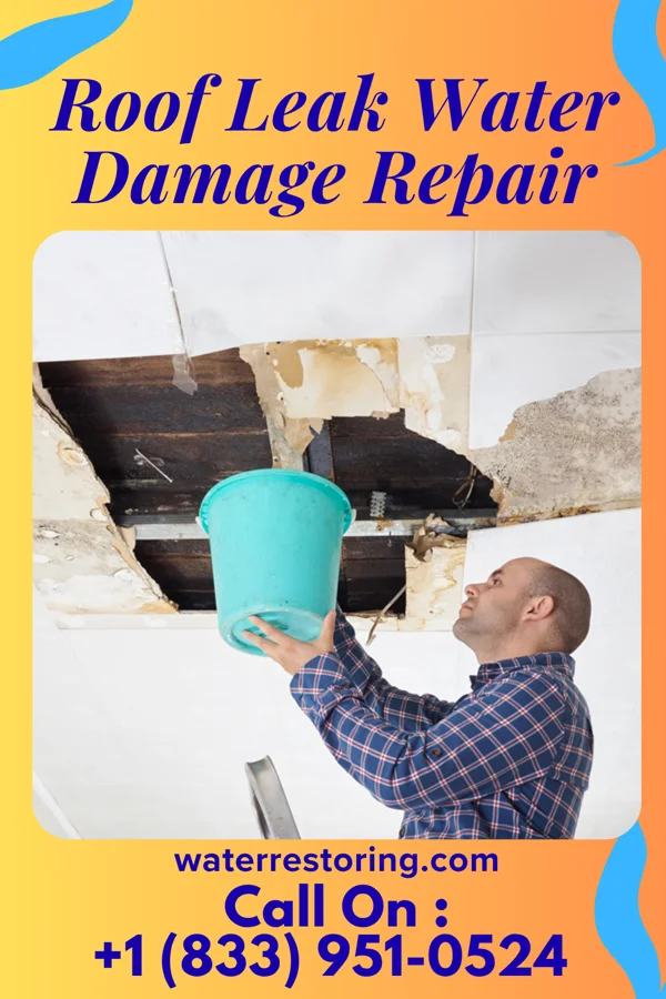 Roof Leak Water Damage Repair in Prien, LA